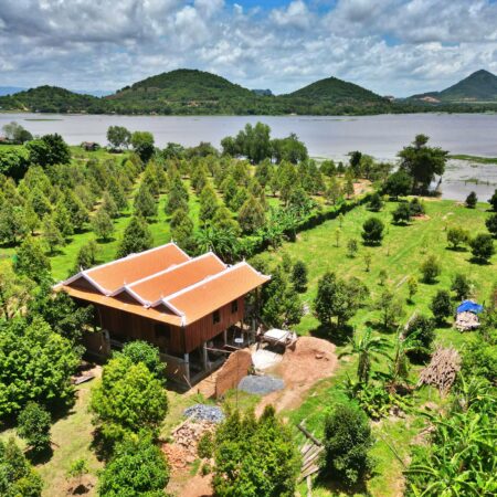 Day 4: Become a Mangrove Guardian: Supporting Coastal Restoration