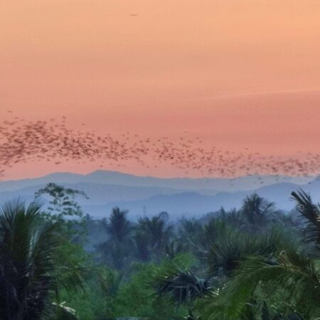 Day 11: Unveiling the Secrets of Battambang