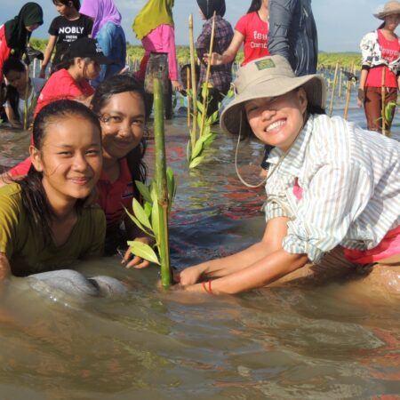 Day 4: Become a Mangrove Guardian: Supporting Coastal Restoration