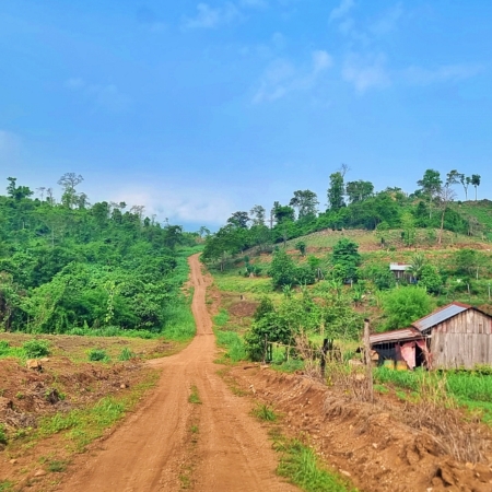 Day 9: Deep into the Cardamom Mountains